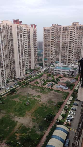 3 BHK Apartment For Rent in Antriksh Golf View Sector 78 Noida  7543596