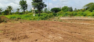 Plot For Resale in Muradpur Patna  7543633