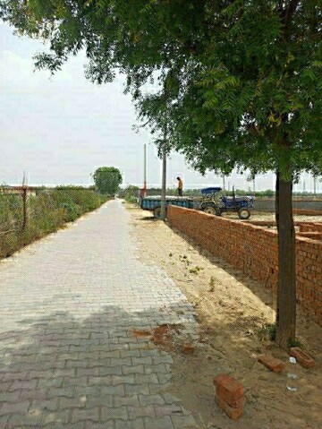Plot Area in  Plot at Oneiric Pacific Residency, Sector 81 – for Sale