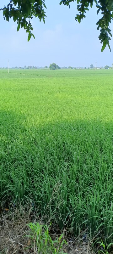  Land For Sale in Gt Road