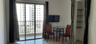 1 BHK Apartment For Rent in Lodha Casa Rio Dombivli East Thane  7543874