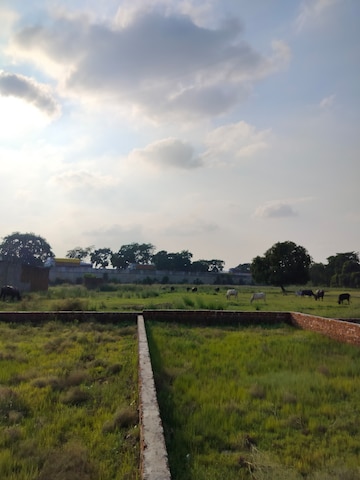 Plot Area in  Plot at Faizabad Road – for Sale