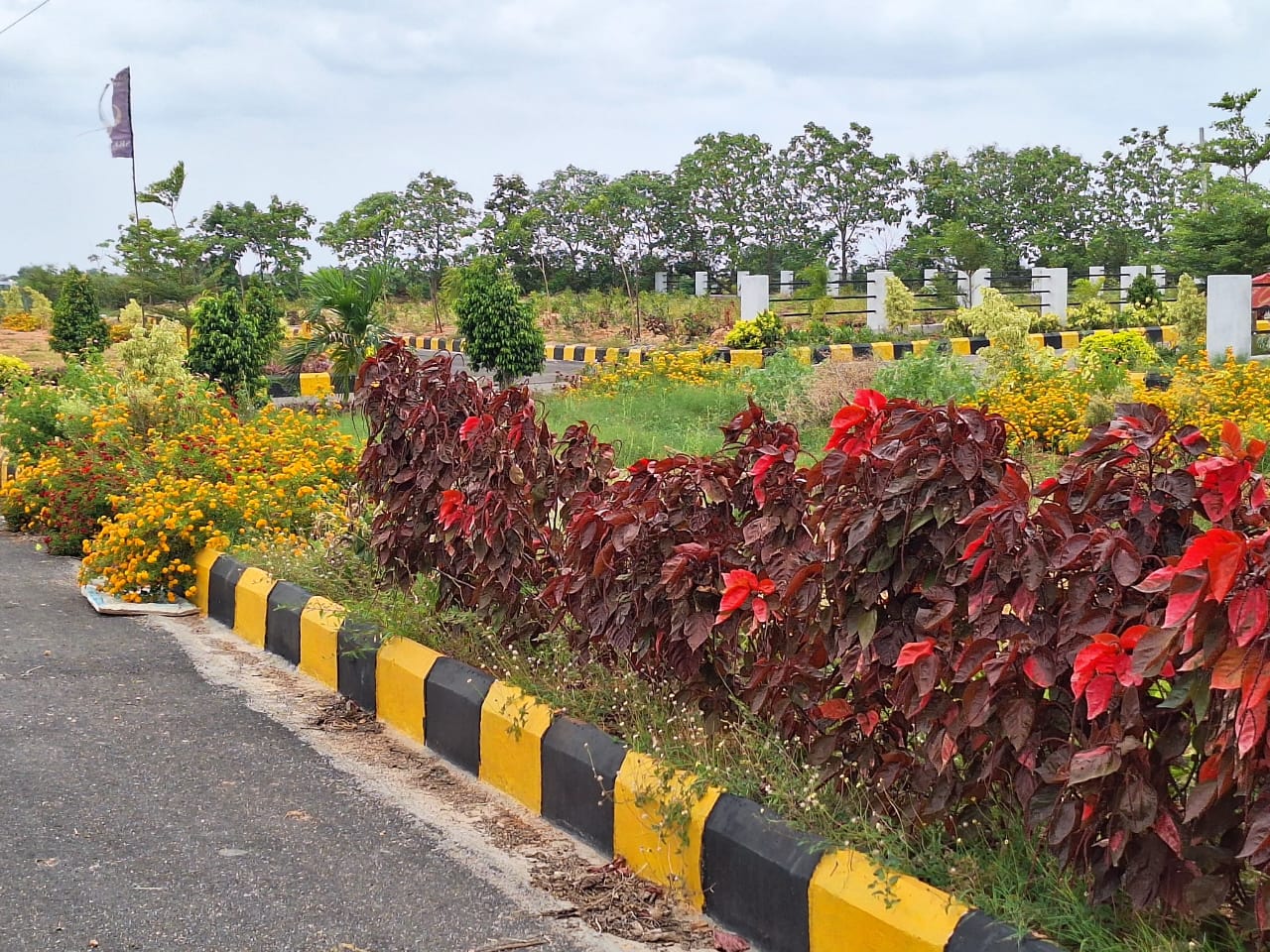 Plot For Resale in Kadthal Hyderabad  7544497