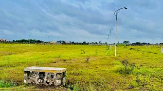 Plot For Resale in Ojhar Nashik  7544886