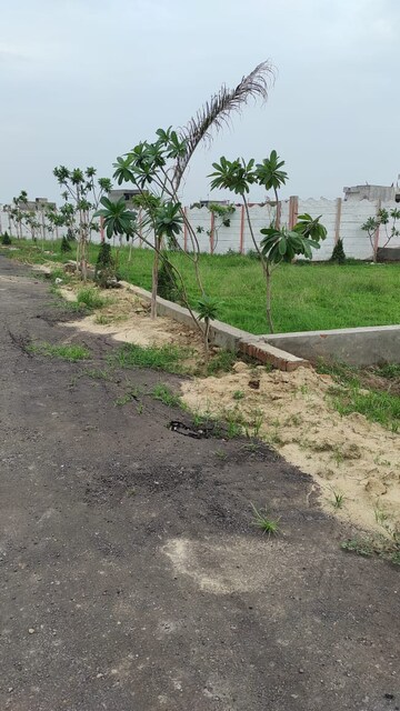 Plot For Resale in Shahjahanpur Meerut  7544908