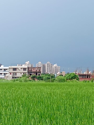 Plot Area in  Plot at Altus Muirwood Ecocity, North Kharar – for Sale