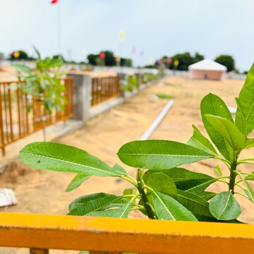  Plot – Exterior View View at Uttam Shyamashish Park, Prithvisinghpura At Naiwala - for Sale