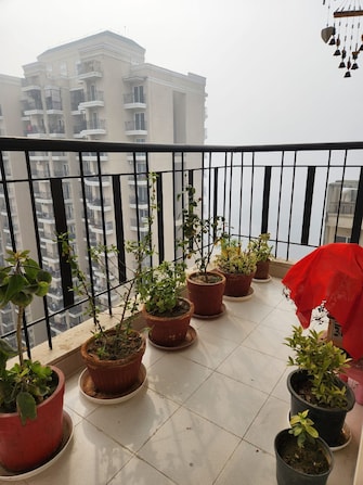 2 BHK Apartment For Resale in Amaatra Homes Sector 10 Greater Noida Greater Noida  7545255