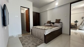 2 BHK Apartment For Rent in Dorabjee Paradise Building A&B Condominium Mohammadwadi Pune  7545318