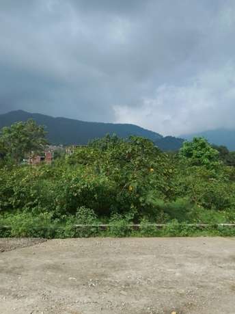 Plot For Resale in Sahastradhara Road Dehradun  7545538