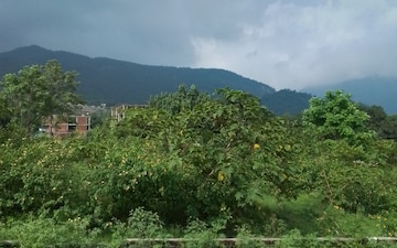 Plot For Sale in Sahastradhara Road