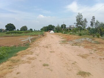  Plot For Sale in Jewar