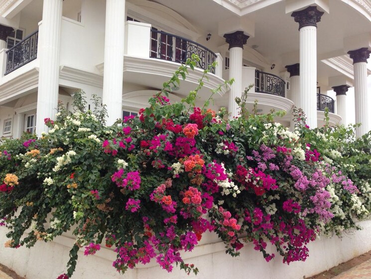 Balcony, swiss-towns 6 Bedroom 5500 Sq.Ft. Villa In Devanahalli Bangalore 7546214