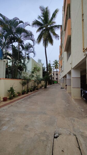 1 BHK Villa For Resale in Ashoka Enclave Faridabad  7546308