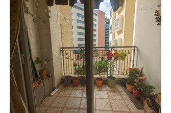 2 BHK Apartment For Rent in Republic Of Whitefield Whitefield Bangalore  7546326