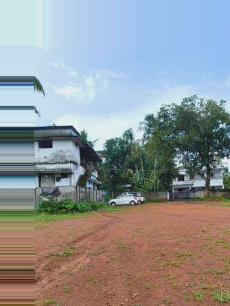 Plot For Resale in Ayyanthole Thrissur  7546359