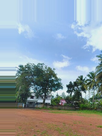 Plot For Resale in Ayyanthole Thrissur  7546359