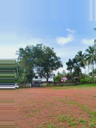 Plot For Resale in Ayyanthole Thrissur  7546359