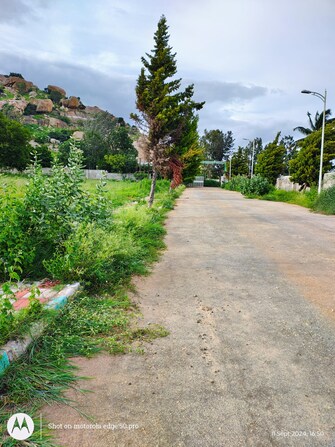 Plot For Resale in Wellnest Prashanthi County Nandi Hills Bangalore  7547688