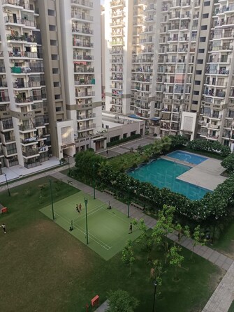 3 BHK Apartment For Resale in SKA Divya Towers Noida Ext Sector 16 Greater Noida  7547859