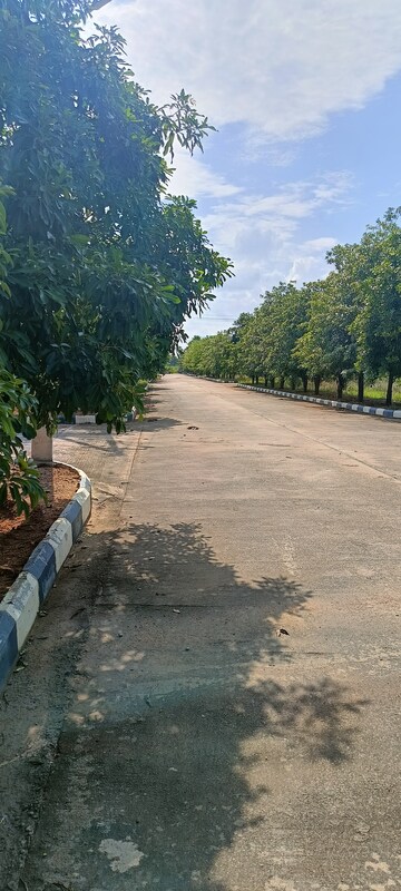  Plot – Exterior View View at Kongara Kalan - for Sale