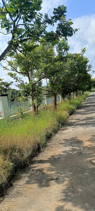  Plot – Exterior View View at Kongara Kalan - for Sale