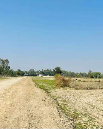 रेसिडेन्शियल प्लॉट वर्ग यार्ड फॉर रीसेल इन तिलपाता करणवास ग्रेटर नोएडा  7549362