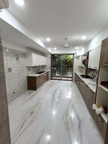 4 BHK Apartment For Rent in Gemstar Home 2 Panchsheel Park Delhi  7549439