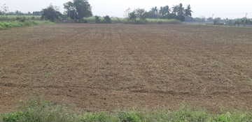 Plot For Resale in Bhavanpur Ahmedabad  7549874