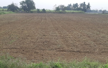 Plot For Sale in Bhavanpur