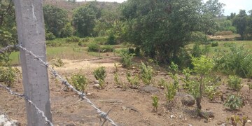 Plot Area in  Plot at Pen – for Sale