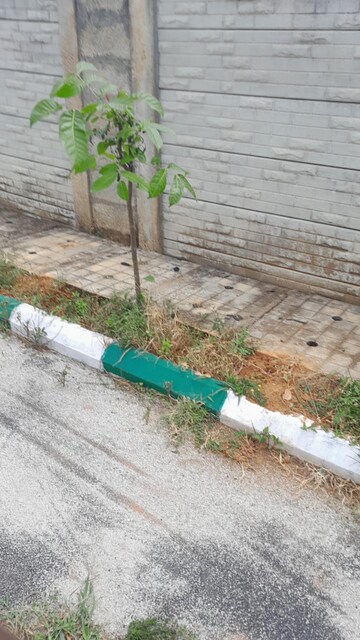  Plot – Exterior View View at Gantiganahalli - for Sale