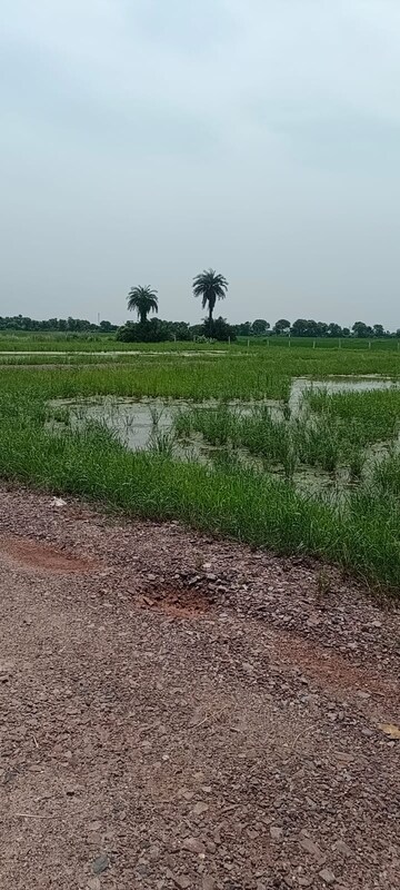  Plot For Sale in Sultanpur