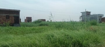 Plot Area in  Plot at Sultanpur – for Sale
