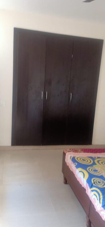 2 BHK Apartment For Rent in NK Savitry Enclave Vip Road Zirakpur  7550962