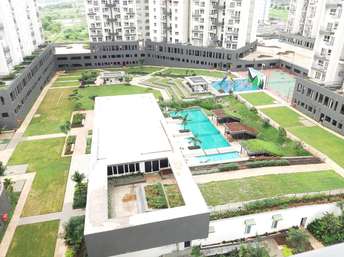 3 BHK Apartment For Rent in Godrej Infinity Keshav Nagar Pune  7551130