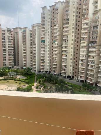 2 BHK Apartment For Rent in Supertech Eco Suites Sector 137 Noida  7551234