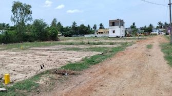 Plot For Resale in Anna Nagar Chennai  7543076