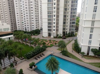 4 BHK Builder Floor For Rent in Lodha Burlingame Bellezza Kukatpally Hyderabad  7551405