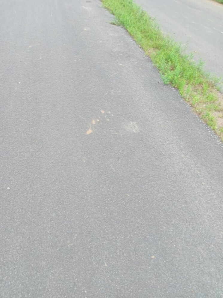 Exterior View, sikar road  1500 Sq.Yd. Plot In Sikar Road Jaipur 7551548