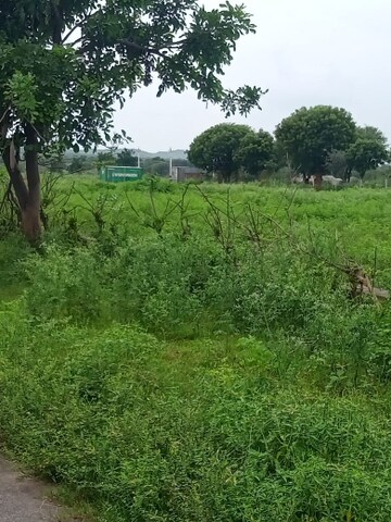  Plot For Sale in Sikar Road