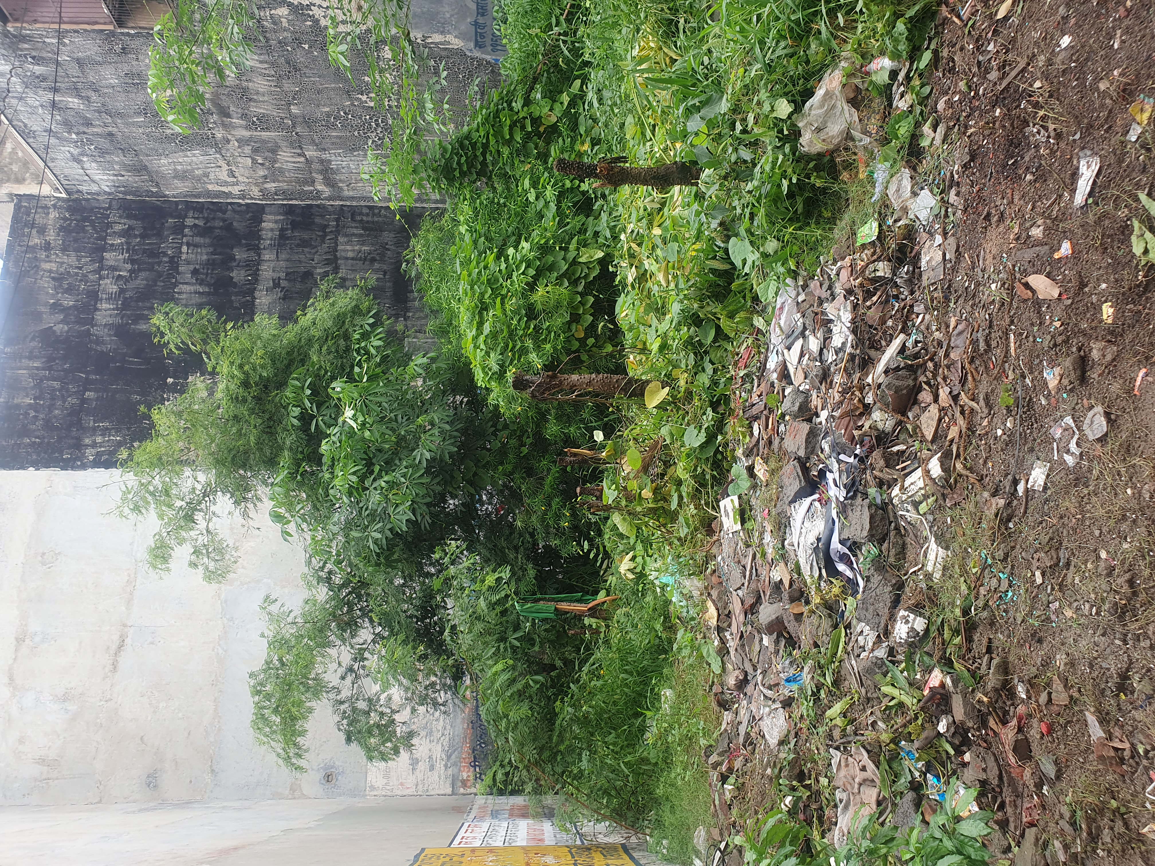 Plot For Sale in Awas Vikash 