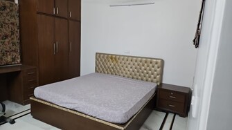 3 BHK Builder Floor For Rent in Sarita Vihar Delhi  7552071