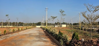 Plot For Resale in Hoskote Malur Road Bangalore  7552412