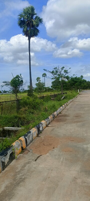 Plot Area in  Plot at Kongara Kalan – for Sale