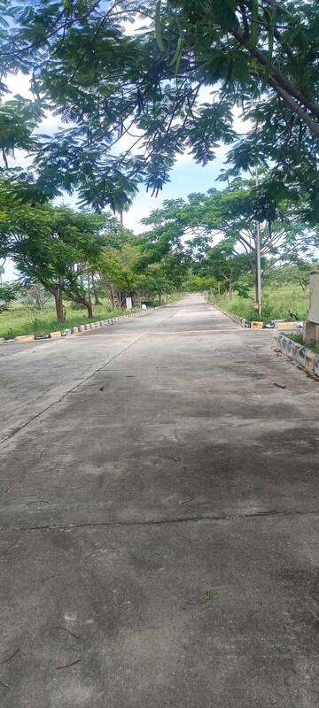  Plot – Garden View at Kongara Kalan - for Sale