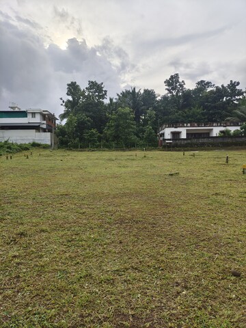 Plot For Resale in Olavakode Palakkad  7552767