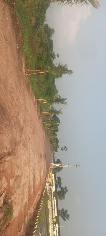  Plot – Exterior View View at Sri Bhumi Eeshaanya, Kankipadu - for Sale
