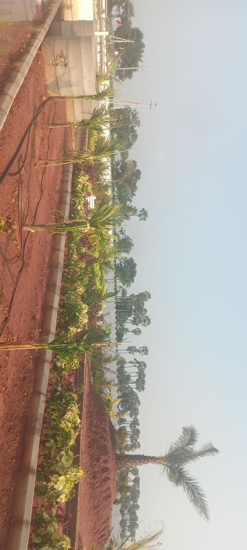  Plot – Garden View at Sri Bhumi Eeshaanya, Kankipadu - for Sale