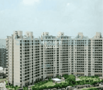 3.5 BHK Apartment For Rent in Central Park II-Bellevue Tikri Gurgaon  7538787